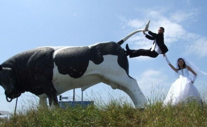 Une photo à l’humour très particulier