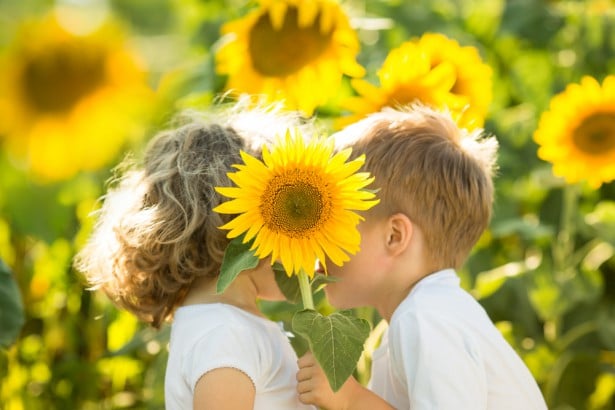 Pour prévenir les allergies