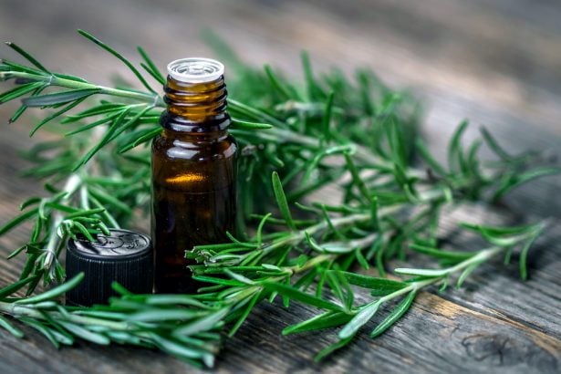 Les huiles essentielles