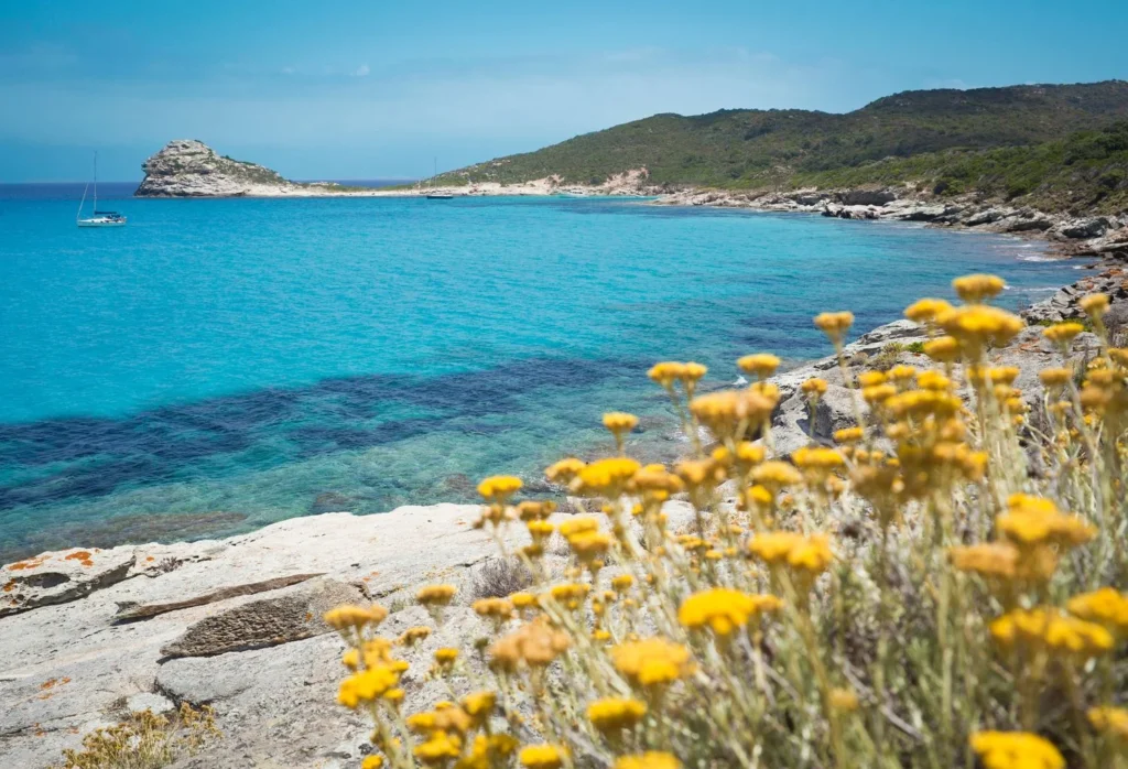 Plaża Lotu, naturalny klejnot Korsyki