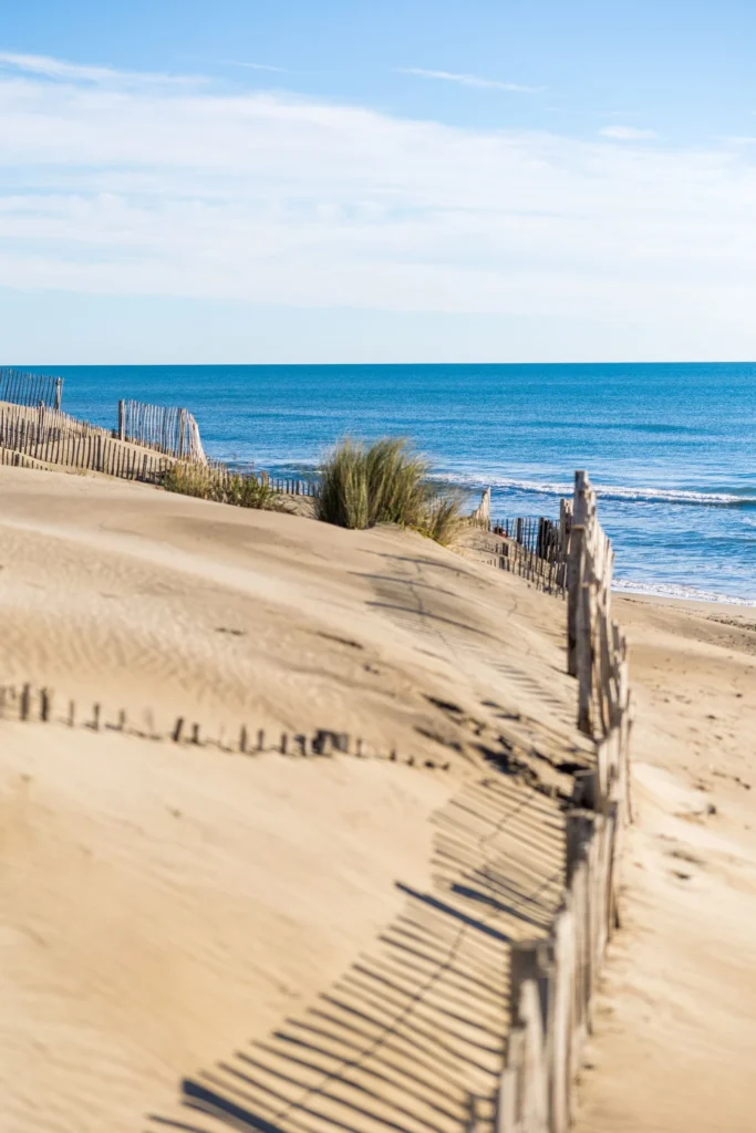 Dzika plaża Espiguette i jej chronione wydmy