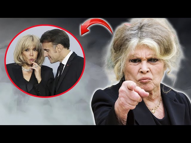 À 91 ans, Brigitte Bardot explose de colère : « Deux laideurs gouvernent la France ! » - YouTube