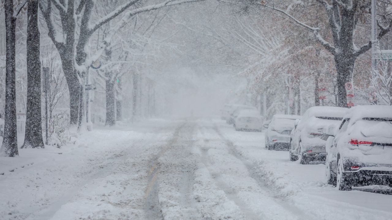 Chute de neige