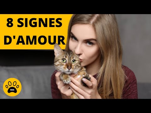 COMMENT SAVOIR SI MON CHAT M'AIME BIEN ! 8 Signes qui ne trompent pas.👍