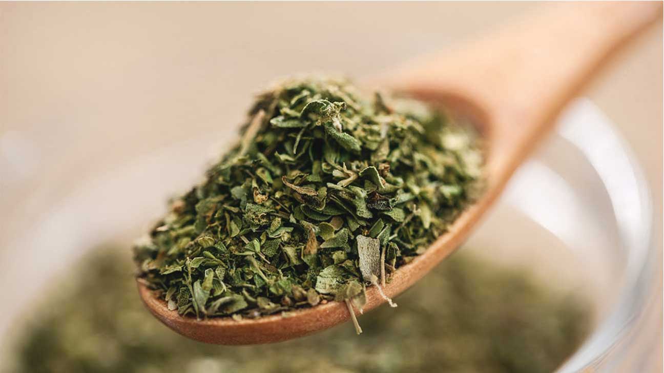 L'origan, ce condiment qui cache un arsenal de bienfaits pour votre santé